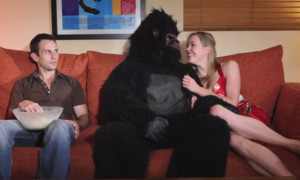 A Gorilla Makes A Bad Roommate